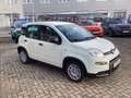 Fiat Panda Pandina 1.0 GSE 52kW Hybrid Klima, DAB Weiß - thumbnail 3