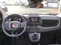 Fiat Panda Pandina 1.0 GSE 52kW Hybrid Klima, DAB Weiß - thumbnail 7