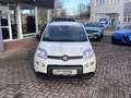 Fiat Panda Pandina 1.0 GSE 52kW Hybrid Klima, DAB Weiß - thumbnail 2