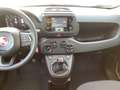 Fiat Panda Pandina 1.0 GSE 52kW Hybrid Klima, DAB Weiß - thumbnail 8