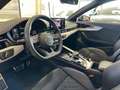 Audi RS4 Avant 2.9 tfsi quattro 450cv tiptronic  ** IVA ESP Grigio - thumbnail 9
