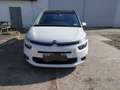 Citroen C4 Picasso C4 Picasso BlueHDi 150 EAT6 Exclusive Aut. Exclusive Weiß - thumbnail 1