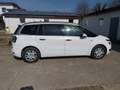 Citroen C4 Picasso C4 Picasso BlueHDi 150 EAT6 Exclusive Aut. Exclusive Weiß - thumbnail 26