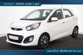 Kia Picanto 1.0 CVVT *Klima* Weiß - thumbnail 1