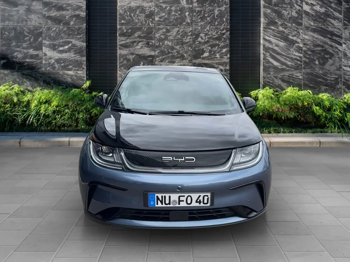 BYD Dolphin 150 kW Design - V2L Funktion Azul - 2