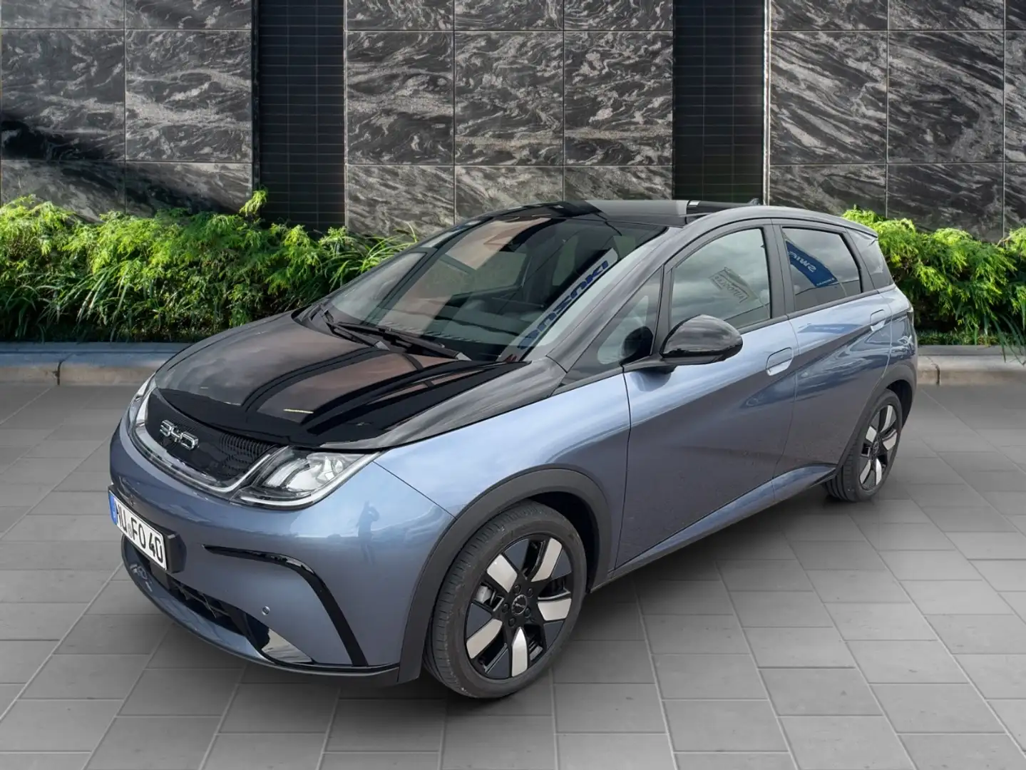 BYD Dolphin 150 kW Design - V2L Funktion Azul - 1