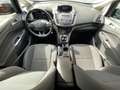 Ford C-Max 1.0 Ecoboost Auto-S&S Trend+ 125 Zwart - thumbnail 13