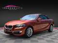BMW Luxury Orange - thumbnail 9