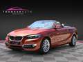 BMW Luxury Orange - thumbnail 1