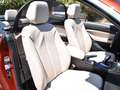 BMW Luxury Orange - thumbnail 12