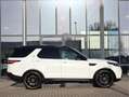 Land Rover Discovery 3.0 SDV6 HSE Luxury *GRIJS KENTEKEN*LEDER*PANO*LUC Wit - thumbnail 14