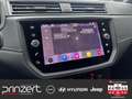 SEAT Ibiza 1.0 TGI "Xcellence" *Allwetter* - thumbnail 8