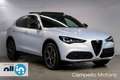 Alfa Romeo Stelvio Stelvio 2.2 Turbo Diesel 210cv AT8 Q4 Veloce MY24 Bianco - thumbnail 1