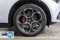Alfa Romeo Stelvio Stelvio 2.2 Turbo Diesel 210cv AT8 Q4 Veloce MY24 Bianco - thumbnail 21