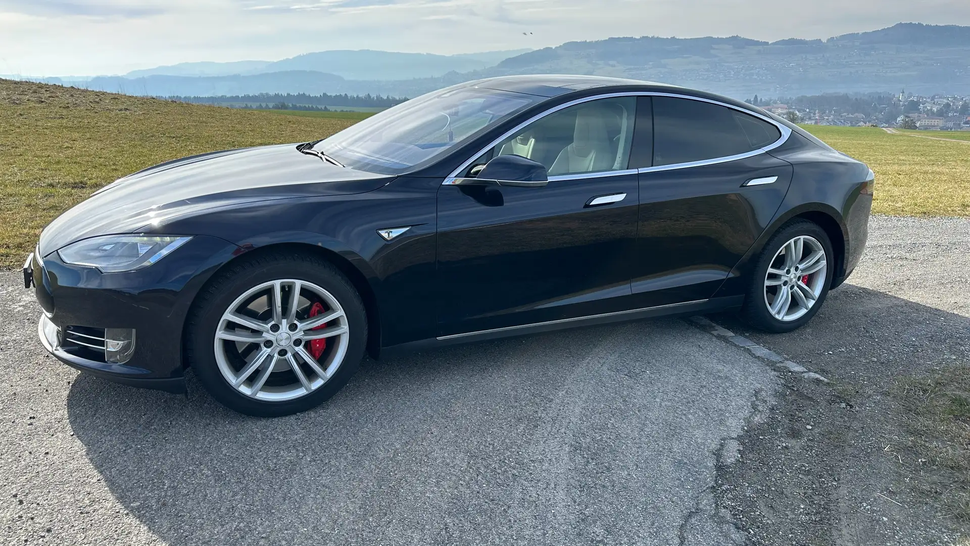Tesla Model S Model S Dual Motor Allradantrieb Performance Blau - 1