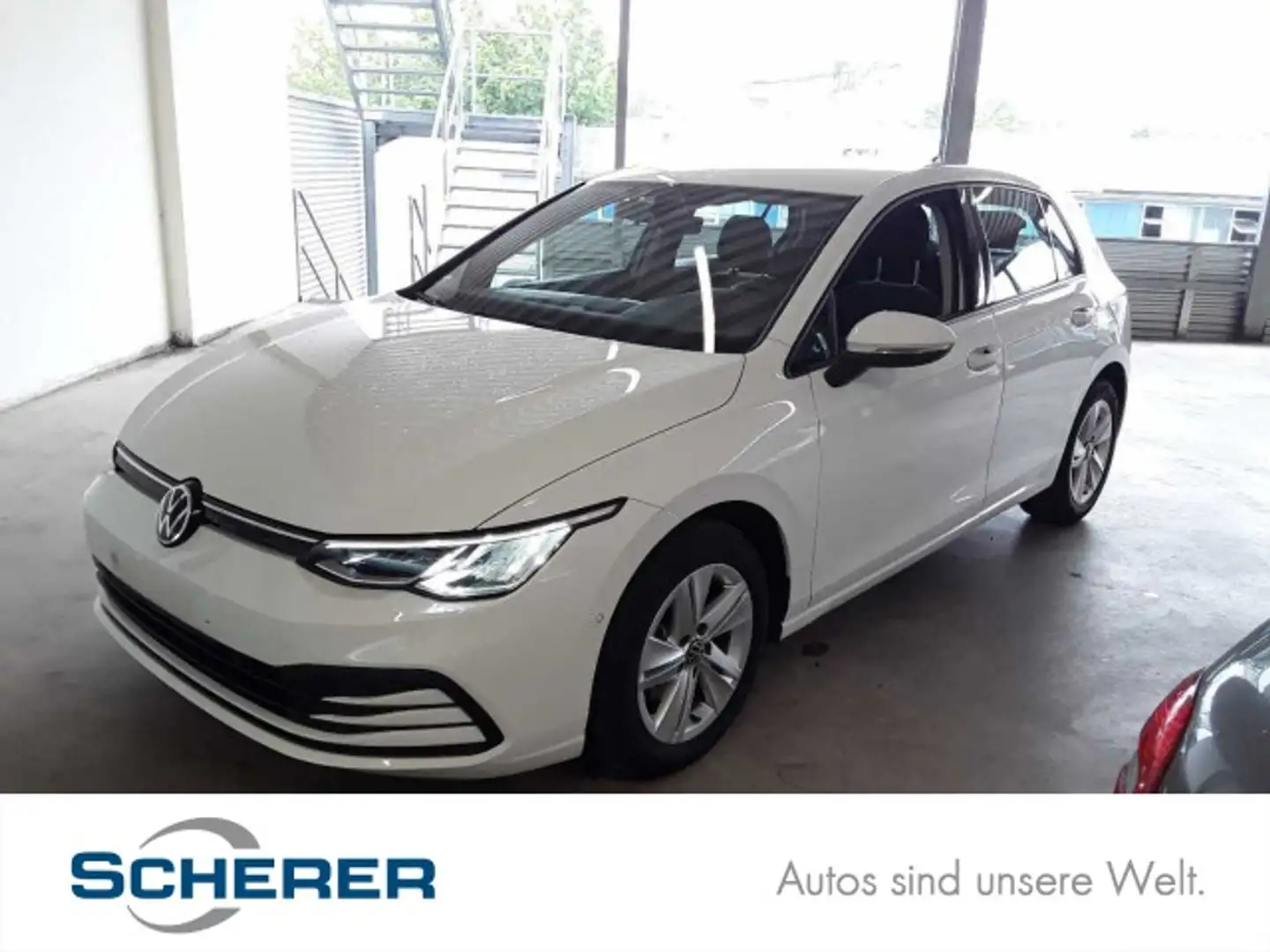 Volkswagen Golf VIII 2.0 TDI Life Fahrschule+ACC+LED+Navi Weiß - 1