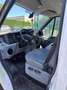 Ford Transit 300 L TDCi 100 TREND - thumbnail 9