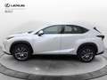 Lexus NX 300 Hybrid 4WD Premium bijela - thumbnail 8