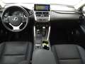 Lexus NX 300 Hybrid 4WD Premium Blanc - thumbnail 14