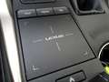 Lexus NX 300 Hybrid 4WD Premium Weiß - thumbnail 30