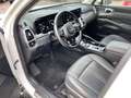 Kia Sorento 2.2 CRDi AWD  **NEUES MODELL** Wit - thumbnail 7