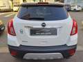 Opel Mokka 1.4  Cosmo Gpl tech 4x2 140cv X NEOPATENTATI Bianco - thumbnail 5