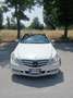 Mercedes-Benz E 220 Cabrio cdi be Avantgarde - thumbnail 1