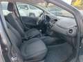 Fiat Punto 5p 1.2 Lounge GPL Grigio - thumbnail 15