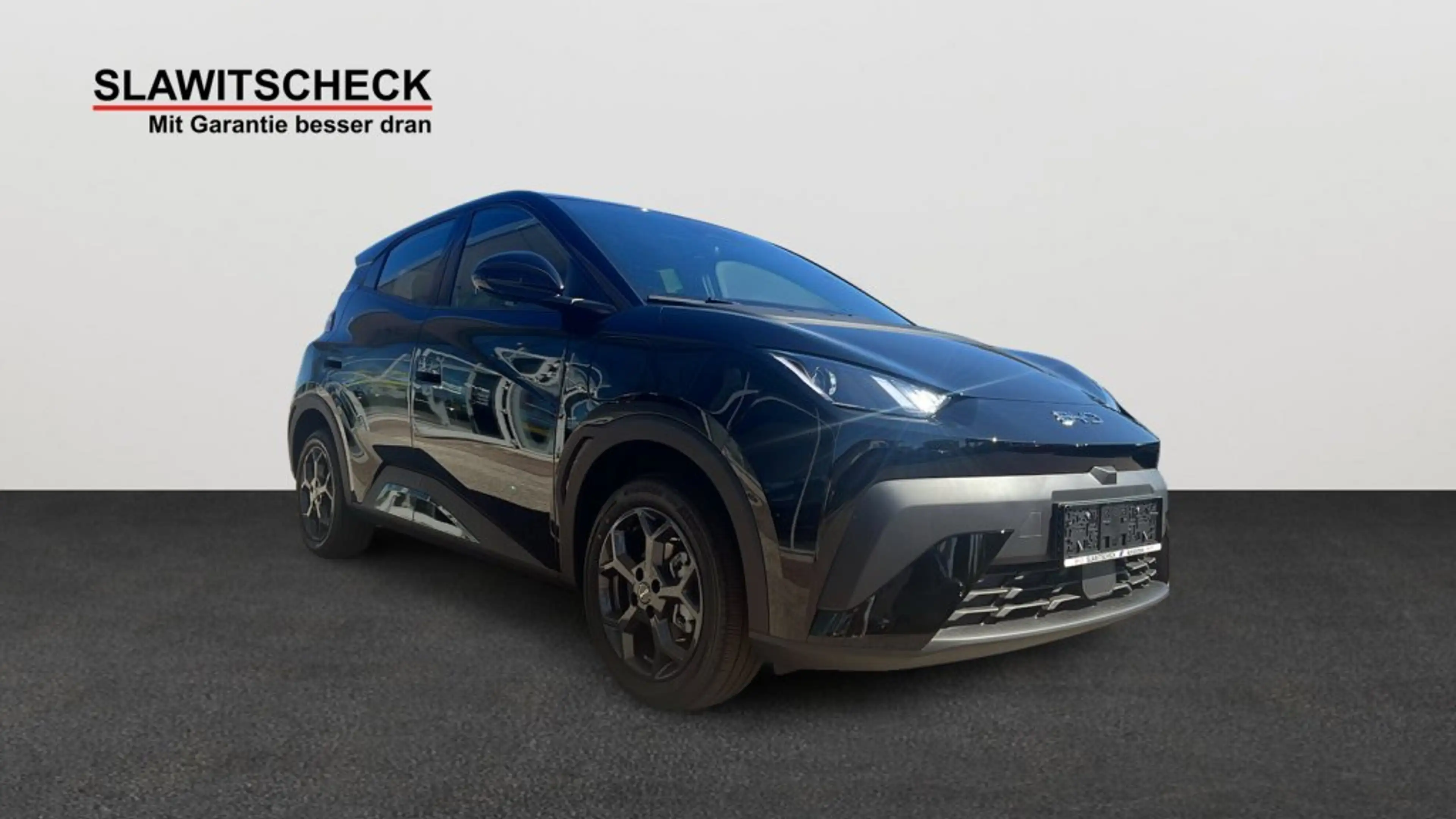 BYD Dolphin Surf Boost — photo 6