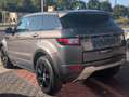 Land Rover Range Rover Evoque SE Dynamic Navi. PDC. RFK. Grau - thumbnail 4