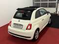 Fiat 500 S*Cabrio*PDC* Weiß - thumbnail 7
