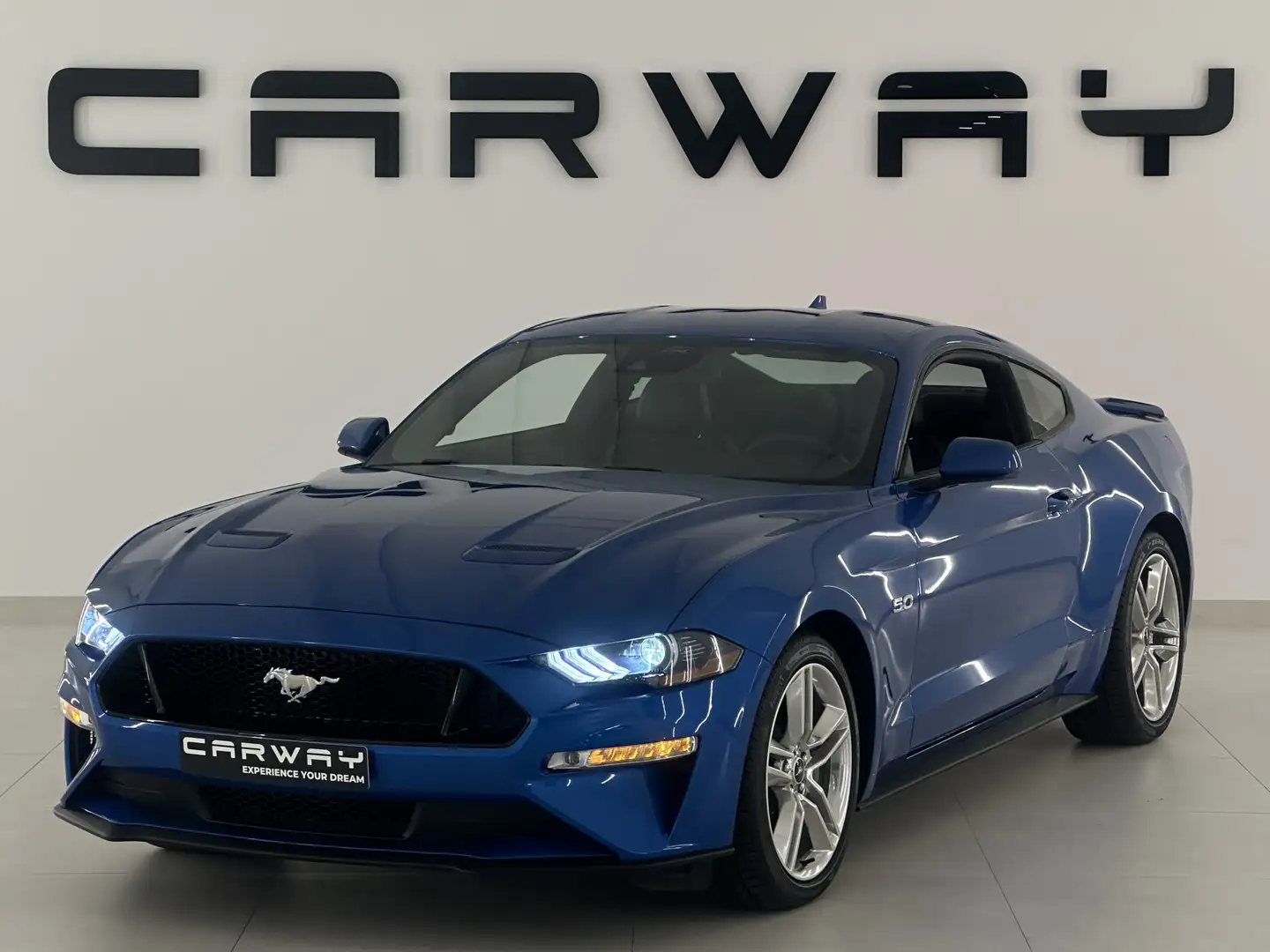Ford Mustang 5.0 V8 GT Performance Blau - 2