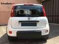 Fiat Panda Panda 1.0 firefly hybrid s&s city life Blanc - thumbnail 7