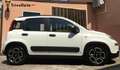 Fiat Panda Panda 1.0 firefly hybrid s&s city life Blanc - thumbnail 6