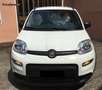 Fiat Panda Panda 1.0 firefly hybrid s&s city life Blanc - thumbnail 4