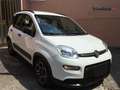 Fiat Panda Panda 1.0 firefly hybrid s&s city life Blanc - thumbnail 5