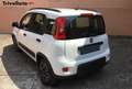 Fiat Panda Panda 1.0 firefly hybrid s&s city life Blanc - thumbnail 8
