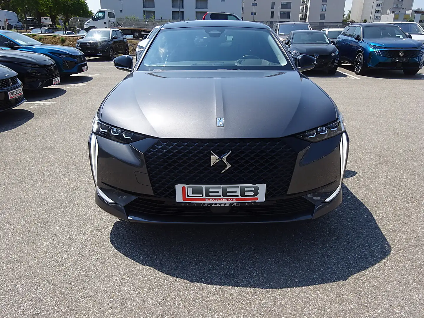 DS Automobiles DS 4 BlueHDi 130 S&S EAT8 Trocadero Grau - 2