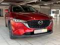 Mazda CX-5 Advantage 165 PS *360-Kamera*Navigation*LED* Rojo - thumbnail 3