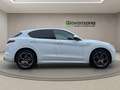 Alfa Romeo Stelvio 2.2 t Veloce Q4 210cv auto Blanc - thumbnail 7