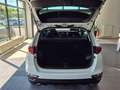 Kia Sportage Black Edition 1.6T Leder JBL LED RFK Weiß - thumbnail 17