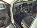 Kia Sportage Black Edition 1.6T Leder JBL LED RFK Weiß - thumbnail 6