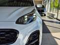 Kia Sportage Black Edition 1.6T Leder JBL LED RFK Weiß - thumbnail 25