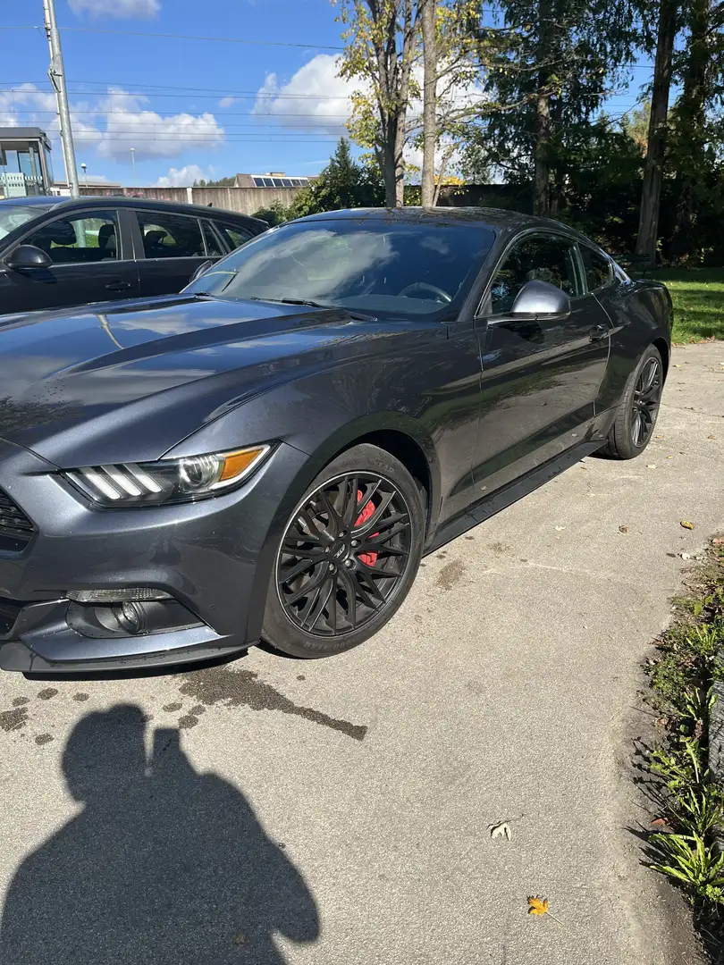 Ford Mustang 2,3 EcoBoost - 1