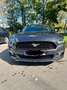 Ford Mustang 2,3 EcoBoost - thumbnail 3