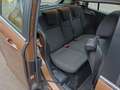 Ford B-Max B-MAX Trend 1,6 Duratorq TDCi Trend Braun - thumbnail 17
