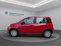 Fiat Panda * TOP - AKTION* Rot - thumbnail 8