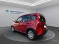 Fiat Panda * TOP - AKTION* Rot - thumbnail 7