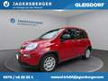 Fiat Panda * TOP - AKTION* Rot - thumbnail 1