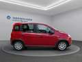 Fiat Panda * TOP - AKTION* Rot - thumbnail 4